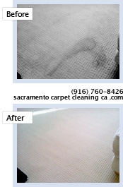 carpet cleaning