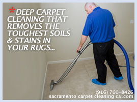 carpet deep steam cleaning